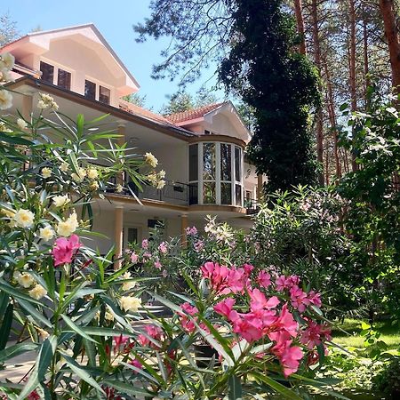 Vila Dunavski Raj Golubac Εξωτερικό φωτογραφία