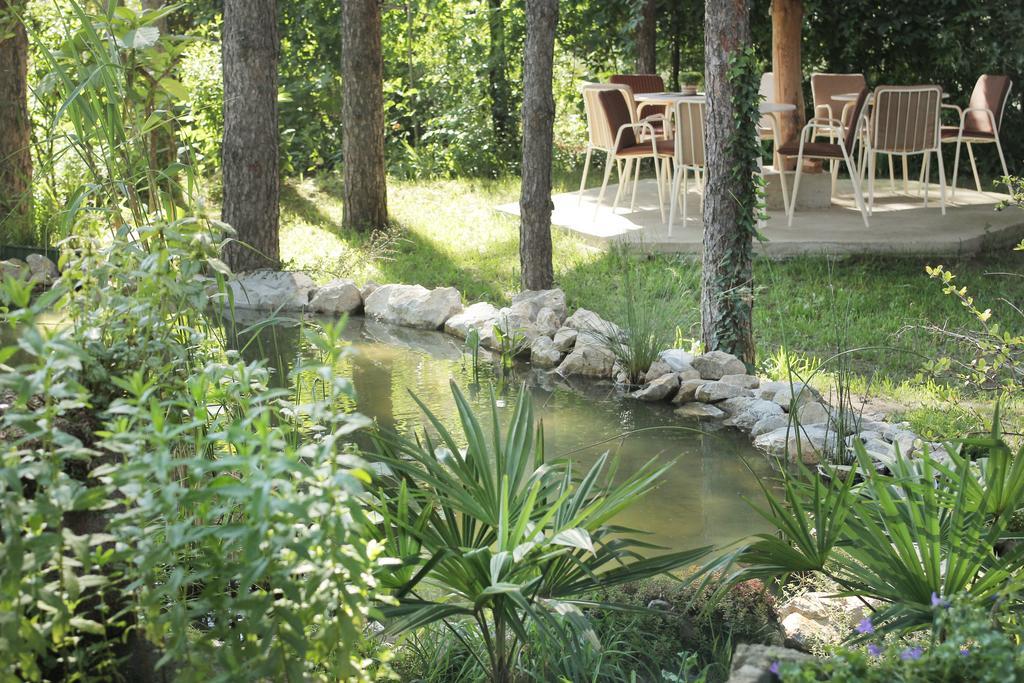 Vila Dunavski Raj Golubac Εξωτερικό φωτογραφία