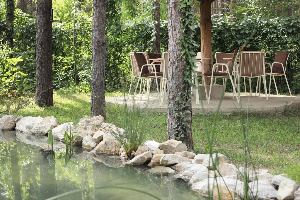 Vila Dunavski Raj Golubac Εξωτερικό φωτογραφία